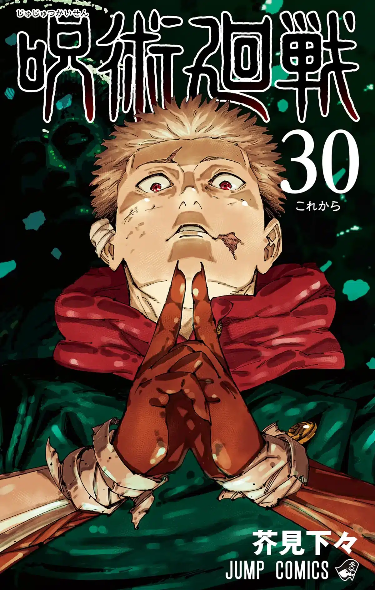 Jujutsu Kaisen manga vol 30
