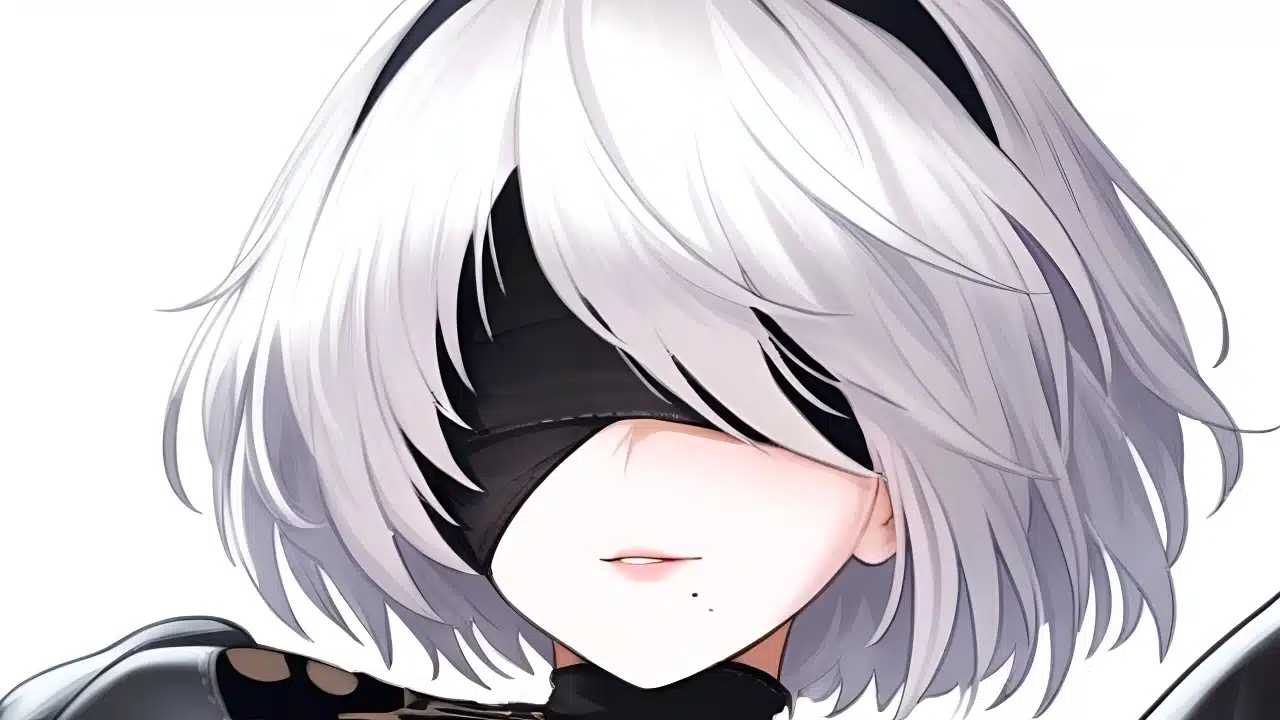 NieR Automata 2B