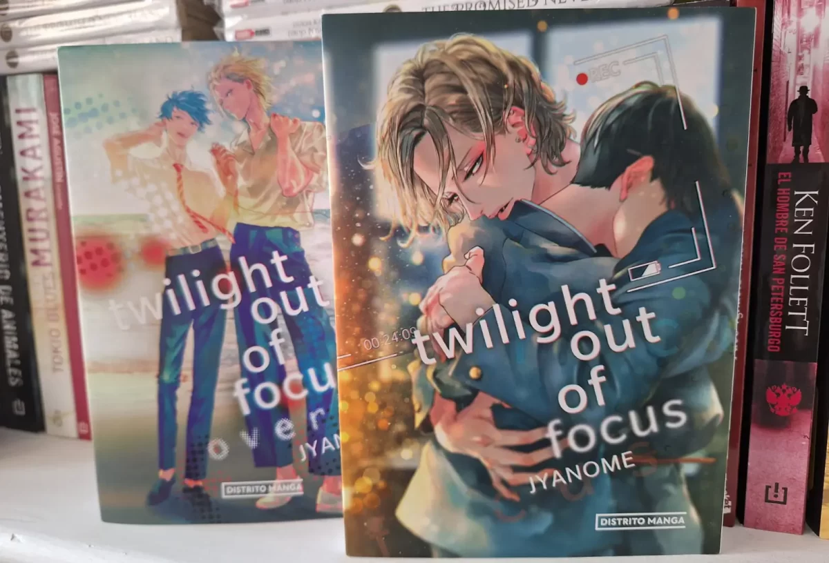 «Twilight Out Of Focus Overlap» La encantadora secuela que nos fascinó