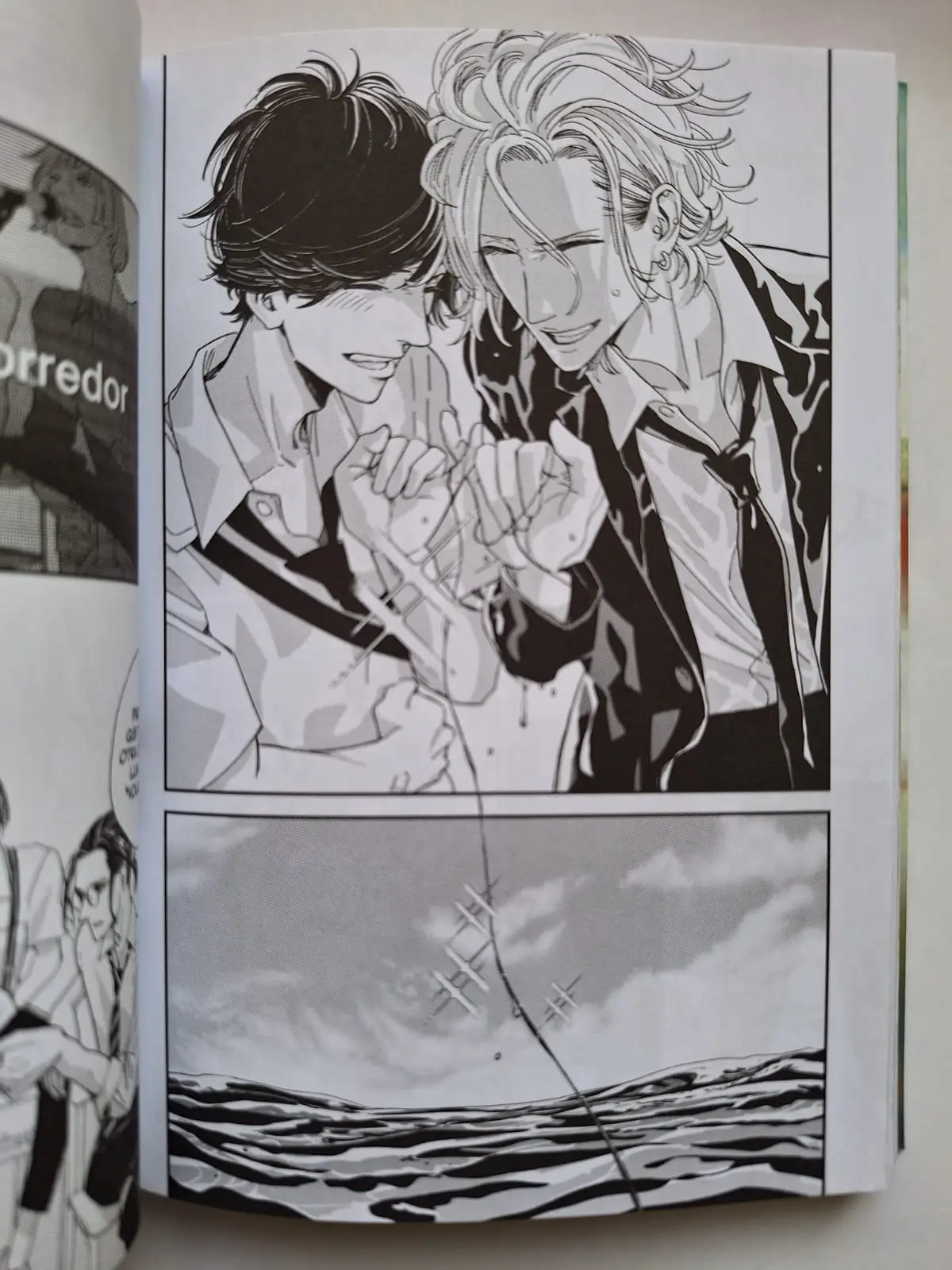 «Twilight Out Of Focus Overlap» La encantadora secuela que nos fascinó