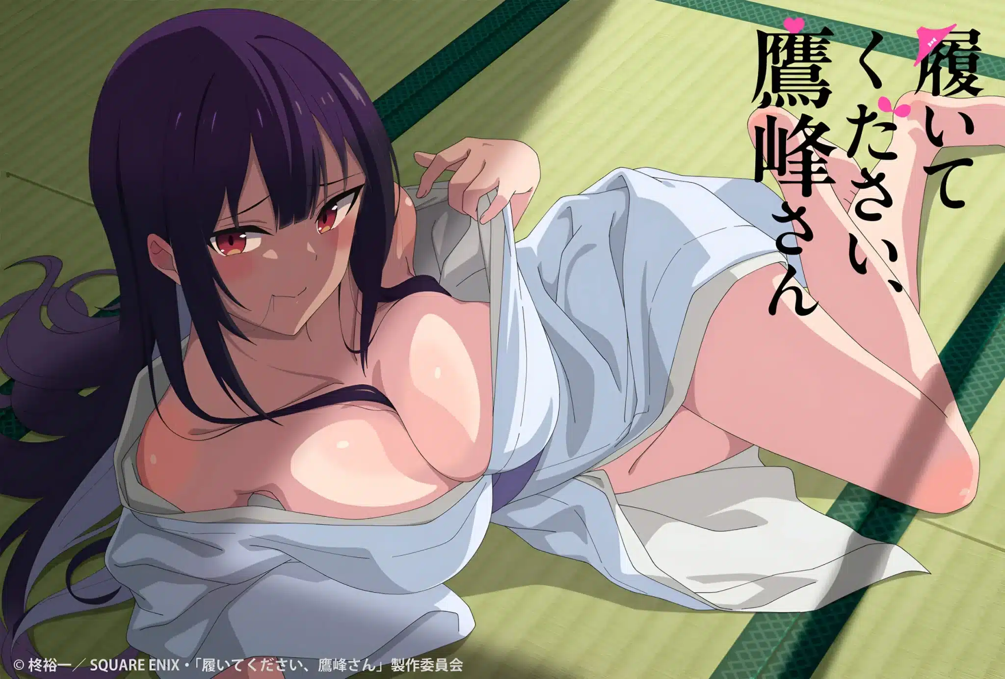 Haite Kudasai, Takamine-san (Please Put Them On, Takamine-san) anime visual 2