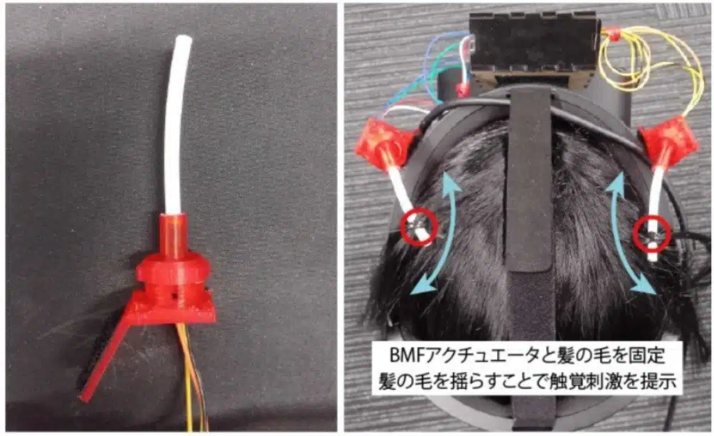 Japón: Las “waifus” con orejas de gato podrían ser una realidad