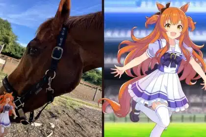 Umamusume
