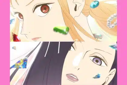 Nuevo anime para One Piece: Heroines