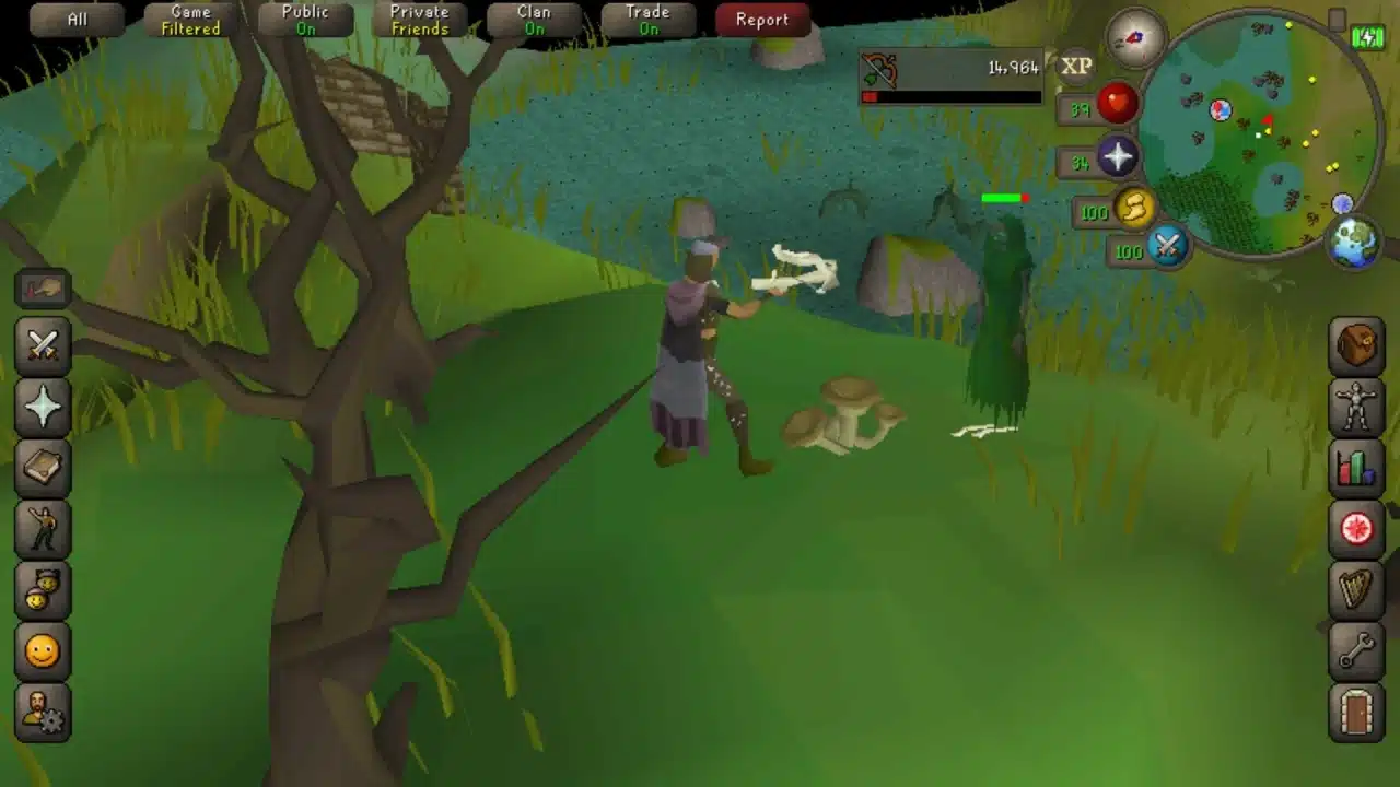 Old School RuneScape