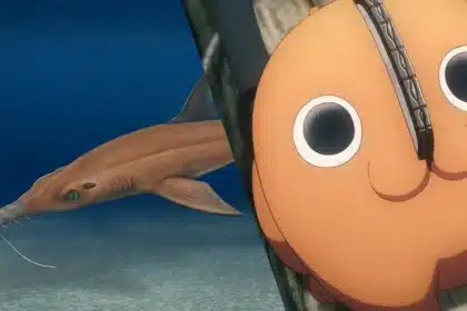 Bautizan un Tiburón Sierra Extinto en Honor a Pochita de Chainsaw Man