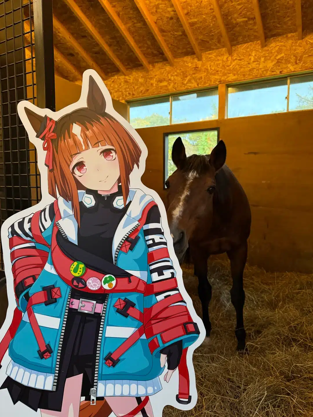 La Ola de Solidaridad no se Detiene: Fans de Umamusume Recaudan $400,000 para el Retiro de Transcend