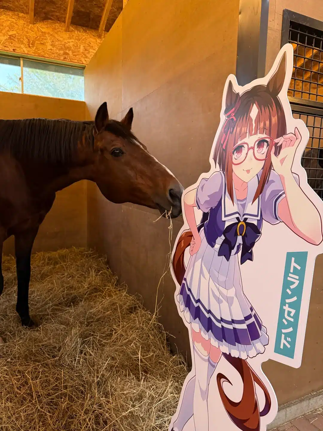 La Ola de Solidaridad no se Detiene: Fans de Umamusume Recaudan $400,000 para el Retiro de Transcend