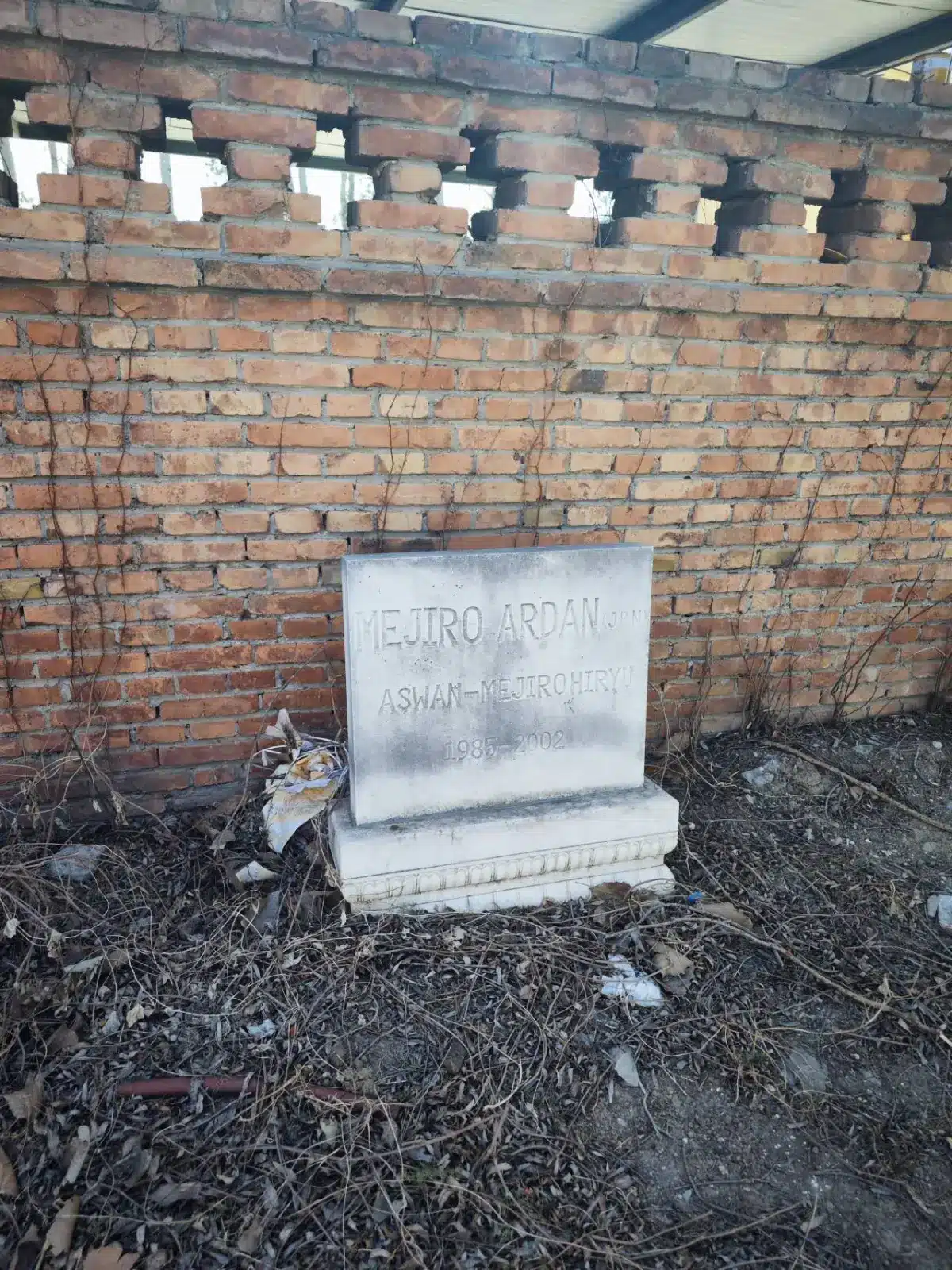 Más allá de la pantalla: Fans de Umamusume restauran la tumba de la leyenda Mejiro Ardan en China